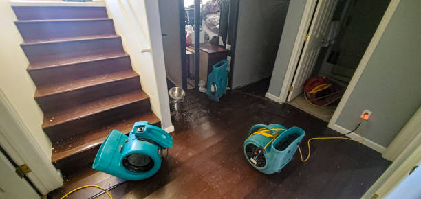 Best Ceiling water damage repair  in Marshall, TX
