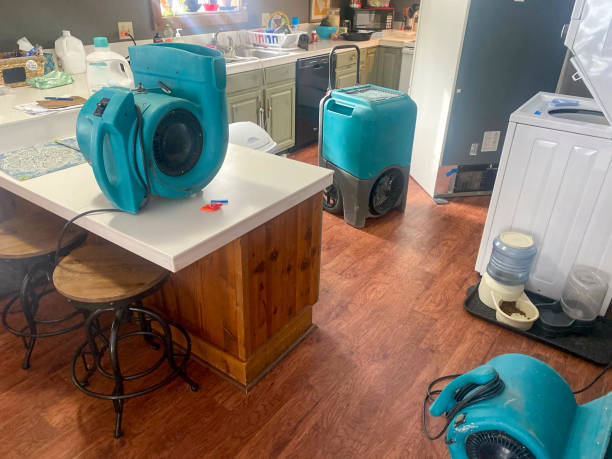 Best Commercial water damage restoration  in Marshall, TX
