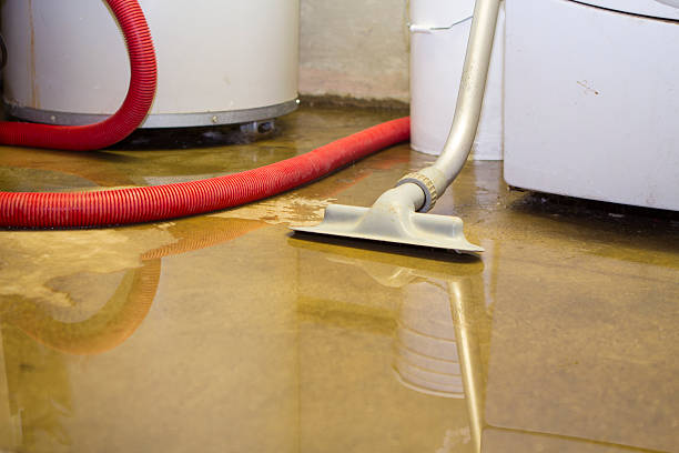 Best Local water damage restoration  in Marshall, TX