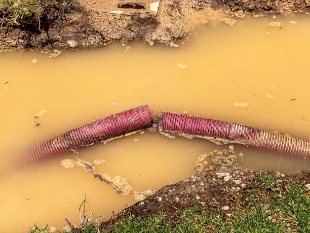 Best Water damage repair service  in Marshall, TX
